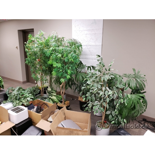 Assorted Silk Plants w/ Various Styles of Plant Pot Allsold.ca Buy & Sell Used Office